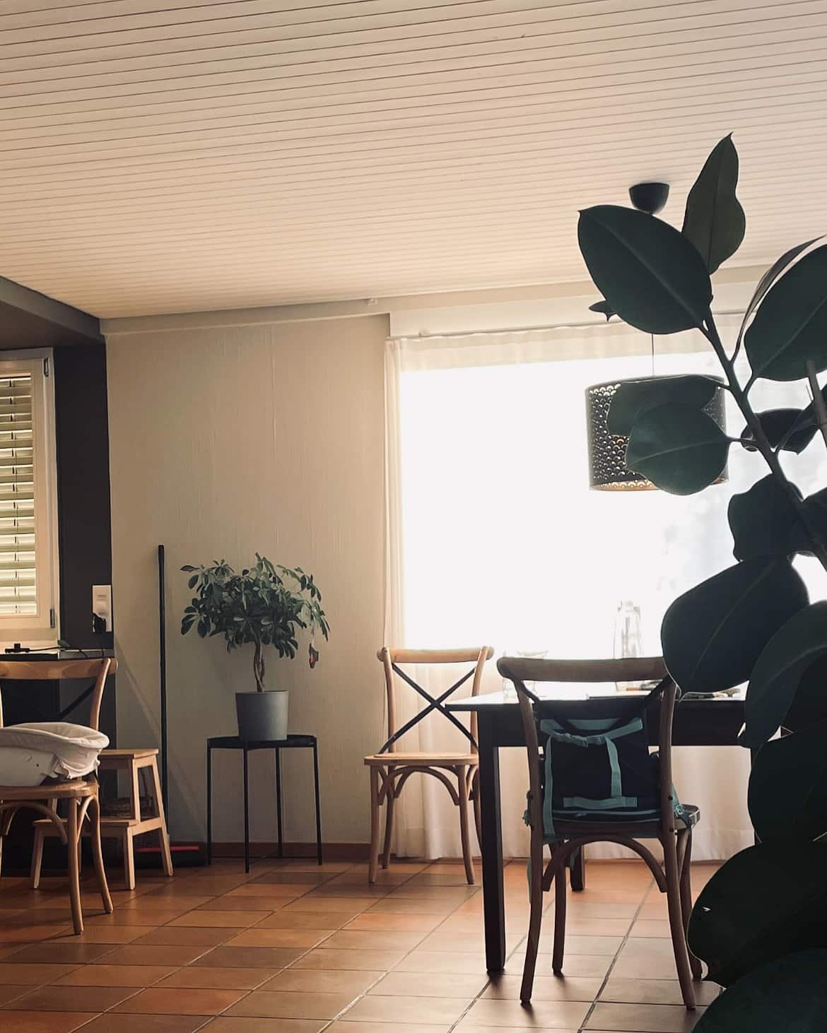 haus am meer kt.color Malerarbeiten Bern,